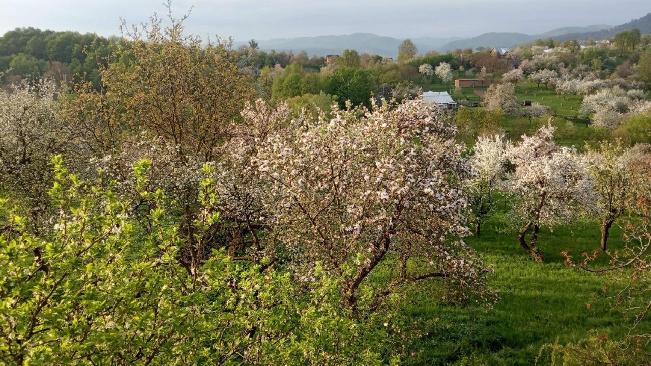 Bat'Kivska Hata Stari Kuty Extérieur photo